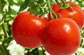 Названы лечебные свойства помидоров