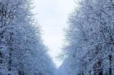 Мартовский снег в Украине в свежих снимках. ФОТО