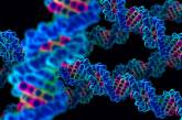 Ученые нашли в ДНК человека послание инопланетян