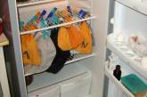 Украинка выпустит на волю 150 перезимовавших в холодильнике летучих мышей