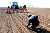 Украинские аграрии возобновили весенне-полевые работы