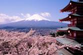 Пришла весна: в Японии зацвела сакура. Фото