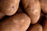 В Украине стремительно растут цены на картофель