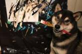 Собака из Канады зарабатывает, рисуя необычные картины. ФОТО