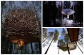 Самые необычные в мире гостиницы на деревьях. ФОТО