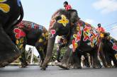 Слоны на фестивале воды в Таиланде. ФОТО