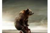 У медведя московского цирка на гастролях украли велосипед