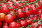 Раскрыт секрет быстрой диеты на помидорах