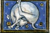 Средневековые монахи рисовали кошек, вылизывающих себя под хвостом. ФОТО