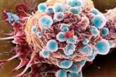 Ученые нашли способ "выключать" раковые клетки 