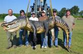 В США поймали гигантского крокодила весом почти 330 кг