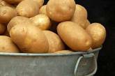 Правительство обещает украинцам много дешёвой картошки