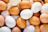 Доктор: сколько яиц можно съедать в день