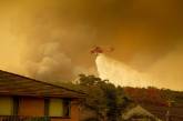 Лесные пожары бушуют в Австралии. ФОТО