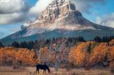 Красота природы Канады на снимках Stacy William Head. ФОТО