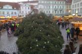 Итальянские дети украли 8-метровую рождественскую ель