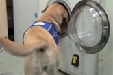 В Британии создали стиральную машину, которую запускает лай собаки