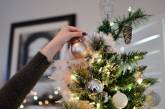 В Германии семья украсила дом 350 рождественскими елками