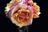 Красивые снимки цветов от Барбары Небел. ФОТО