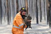 Снимок коалы, пострадавшей от пожара в Австралии покорил Сеть. ФОТО