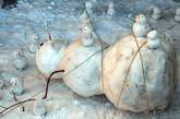 Подборка самых разнообразных снеговиков. ФОТО