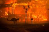 В Австралии продолжаются лесные пожары. ФОТО