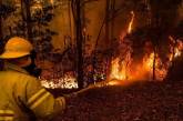 Фотограф документирует разрушительные лесные пожары в Австралии. ФОТО