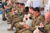 Австралийские военные приходят кормить спасенных от пожара коал. ФОТО