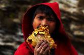 Как добывают сладкое золото Непала. ФОТО