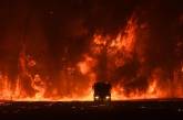 Фотограф Ник Мойр документирует лесные пожары Австралии. ФОТО