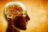 «Генетические паразиты» в клетках мозга являются причиной шизофрении