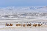 Просторы Монголии на снимках Марка Прогина. ФОТО