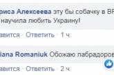 В Украине пес-патриот восхитил сеть: отвечает на «Слава Украине». ВИДЕО