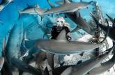 Замечательные подводные снимки от Нади Али. ФОТО