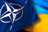  В НАТО призвали стороны конфликта в Украине к мирному диалогу 