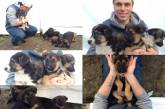 Американский фристайлист заберет из Сочи семью бродячих собак 
