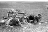 Как собаки помогали во время Великой Отечественной войны. ФОТО