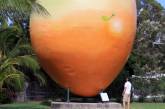 В Австралии пропало семитонное манго