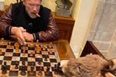 Шварценеггер на карантине играет в шахматы с ослицей. ФОТО
