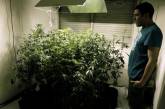 Легализация марихуаны принесла Колорадо $2 млн