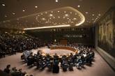Совбез ООН попытается принять "мягкую" резолюцию относительно крымского референдума  