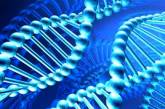 Ученые будут составлять фотороботов по ДНК