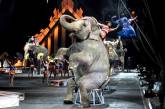 Американские зоозащитники оспаривают выплату цирку $25,5 млн