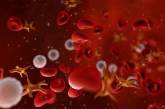 Ученые наконец-то смогли создать искусственную донорскую кровь 
