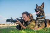 Как собаки служат в израильской армии. ФОТО