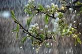 Сегодня Украину продолжит поливать весенними дождями  