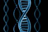 Ученые раскрыли механизм редактирования ДНК