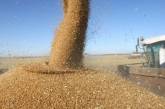 Мировые цены на зерновые снизились благодаря поставкам из Украины