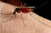 Комары не могут заразить гепатитами В и С