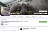 Глава администрации Порошенко научил кошку "вести" Facebook